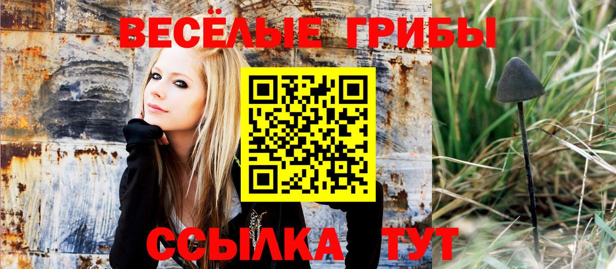 Псилоцибиновые грибы MAGIC MUSHROOMS  Вход с VPN  Кирово-Чепецк  Псилоцибиновые грибы прущие грибы 
