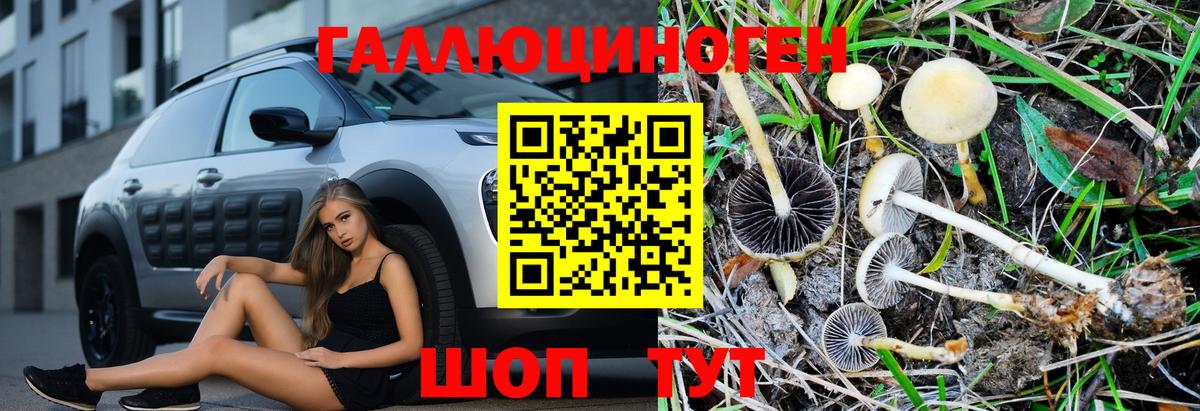 Псилоцибиновые грибы Psilocybine cubensis Кирово-Чепецк